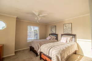 Carpeted bedroom featuring ornamental molding and a ceiling fan