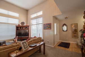 Carpeted living room featuring healthy amount of natural light and wood finished floors