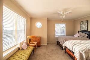 Carpeted bedroom featuring crown molding and ceiling fan