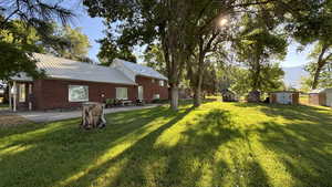 View of grassy yard featuring a storage unit and a patio area