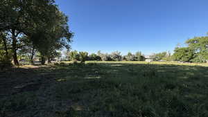 View of yard with a rural view