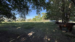 View of yard featuring a rural view
