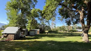View of green lawn with a storage unit