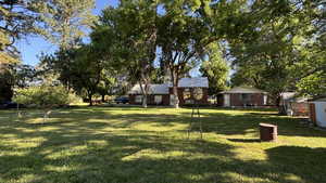 View of grassy yard