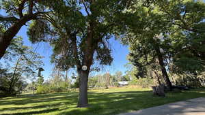 View of property's community with a yard