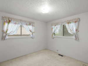 Spare room featuring healthy amount of natural light, carpet flooring, and a textured ceiling