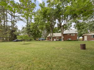 View of grassy yard