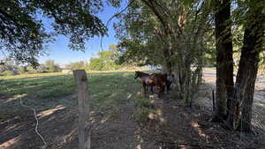 View of yard featuring a rural view