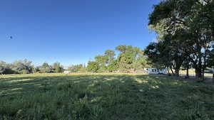 View of green lawn featuring a rural view