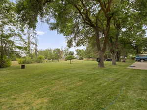View of green lawn