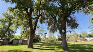View of yard with a shed