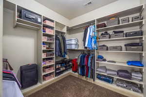 Spacious closet featuring dark carpet