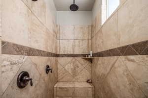 Bathroom view of a tile shower