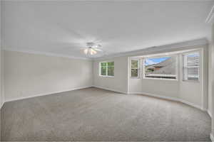 Unfurnished room featuring light carpet, crown molding, a textured ceiling, and a ceiling fan