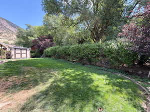 View of grassy yard with a storage unit