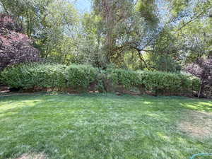 View of grassy yard