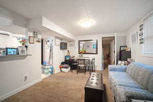 Carpeted basement living room