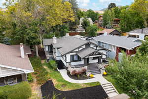 Aerial perspective of area