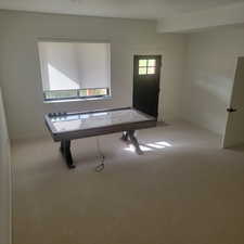 Recreation room with carpet