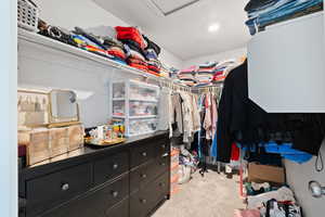 Spacious closet featuring light carpet
