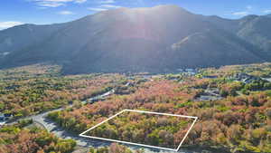 View of mountain background featuring a forest