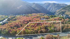 Mountain view with a forest