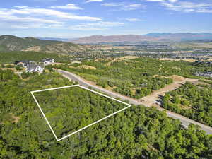 Aerial overview of property's location with a mountain backdrop and property parcel outlined