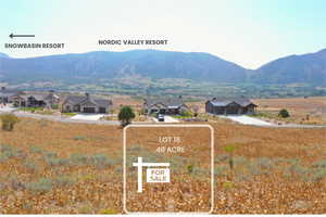 View of mountain background