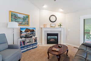 Carpeted living area featuring baseboards and a premium fireplace