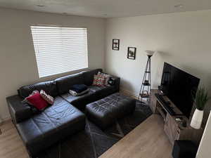 Living room featuring light wood finished floors and a textured ceiling