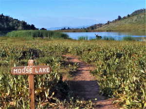 Water view with rural landscape and large plots for crops