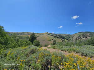 View of mountain background