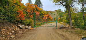 Gate with a wooded view