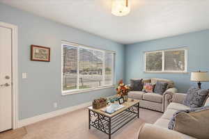 Living room featuring carpet and baseboards