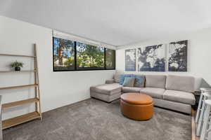 Living room with a textured ceiling and carpet flooring