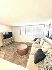 Living area featuring carpet flooring and a textured ceiling