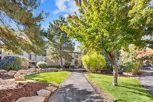 Surrounding community featuring a lawn