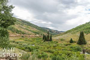 The valley below the lot