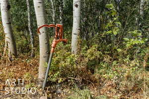 Potable, spring water.