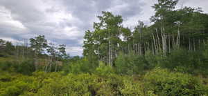 Lower flat next to southern boundary looking North