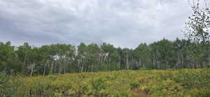 Looking East before walking down slope to lower flat