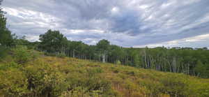 Northern lot boundary looking South West