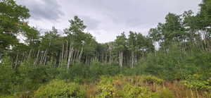 Inside lower lot flat looking East