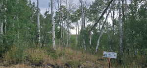 Northeast corner Marker