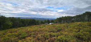 Open space facing pad in the distance