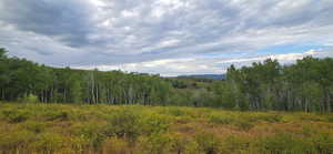 Looking West from Northern lot flat