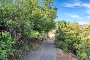 Path leading to the storage shed
