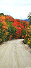 View of dirt / gravel road with a view of trees