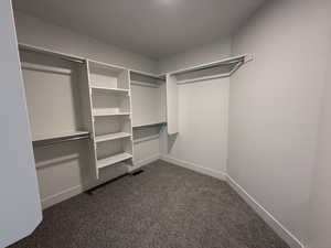 Walk in closet featuring dark colored carpet