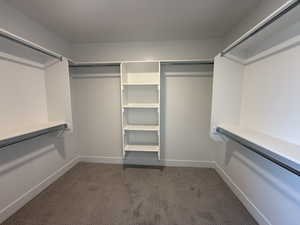 Walk in closet with dark carpet